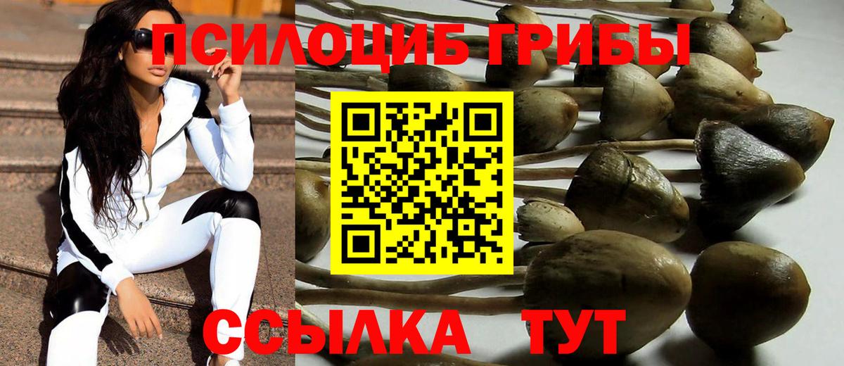 Псилоцибиновые грибы GOLDEN TEACHER Владикавказ