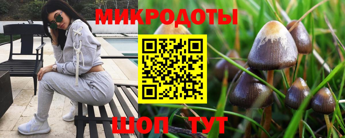 Галлюциногенные грибы Magic Shrooms  Псилоцибиновые грибы прущие грибы  что такое   Вход с VPN  Владикавказ 